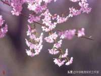 深圳赛恩普电子新材料应用有限公司