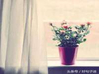 深圳赛恩普电子新材料应用有限公司