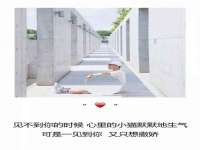 深圳赛恩普电子新材料应用有限公司