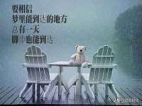 深圳赛恩普电子新材料应用有限公司