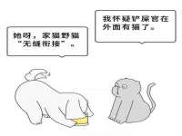 深圳赛恩普电子新材料应用有限公司