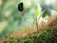 深圳赛恩普电子新材料应用有限公司