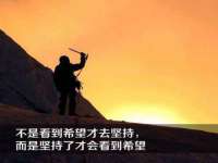 深圳赛恩普电子新材料应用有限公司