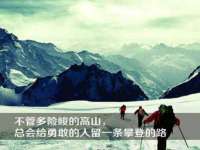 深圳赛恩普电子新材料应用有限公司