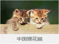 深圳赛恩普电子新材料应用有限公司