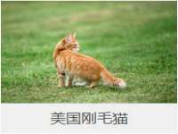深圳赛恩普电子新材料应用有限公司