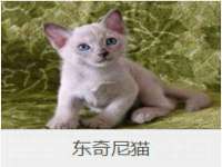 深圳赛恩普电子新材料应用有限公司