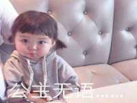 深圳赛恩普电子新材料应用有限公司
