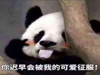 深圳赛恩普电子新材料应用有限公司