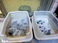 深圳赛恩普电子新材料应用有限公司