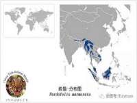 深圳赛恩普电子新材料应用有限公司