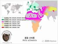 深圳赛恩普电子新材料应用有限公司