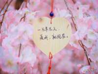 深圳赛恩普电子新材料应用有限公司
