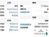 深圳赛恩普电子新材料应用有限公司
