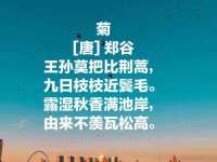 深圳赛恩普电子新材料应用有限公司
