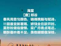 深圳赛恩普电子新材料应用有限公司