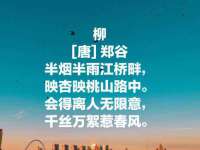 深圳赛恩普电子新材料应用有限公司