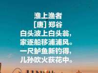 深圳赛恩普电子新材料应用有限公司