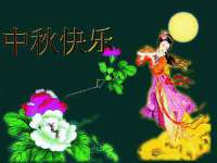 深圳赛恩普电子新材料应用有限公司
