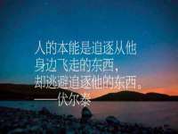 深圳赛恩普电子新材料应用有限公司