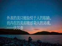 深圳赛恩普电子新材料应用有限公司