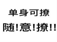 深圳赛恩普电子新材料应用有限公司