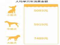 深圳赛恩普电子新材料应用有限公司