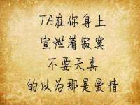 深圳赛恩普电子新材料应用有限公司