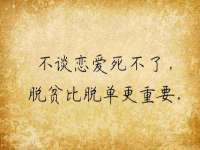 深圳赛恩普电子新材料应用有限公司