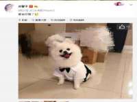 深圳赛恩普电子新材料应用有限公司