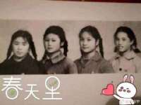 深圳赛恩普电子新材料应用有限公司