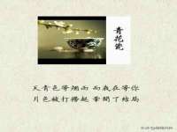 深圳赛恩普电子新材料应用有限公司