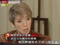 深圳赛恩普电子新材料应用有限公司