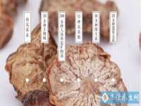 深圳赛恩普电子新材料应用有限公司