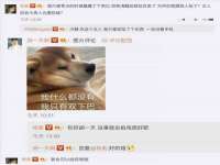 深圳赛恩普电子新材料应用有限公司