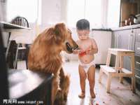 深圳赛恩普电子新材料应用有限公司