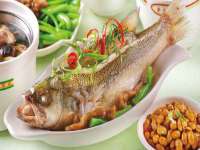 深圳赛恩普电子新材料应用有限公司