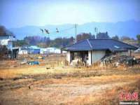 深圳赛恩普电子新材料应用有限公司