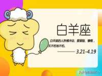 深圳赛恩普电子新材料应用有限公司