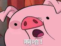 深圳赛恩普电子新材料应用有限公司