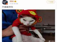深圳赛恩普电子新材料应用有限公司